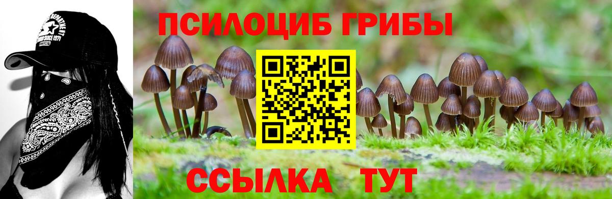 Псилоцибиновые грибы Magic Shrooms  Вход с VPN  Галлюциногенные грибы Psilocybine cubensis  Ухта 